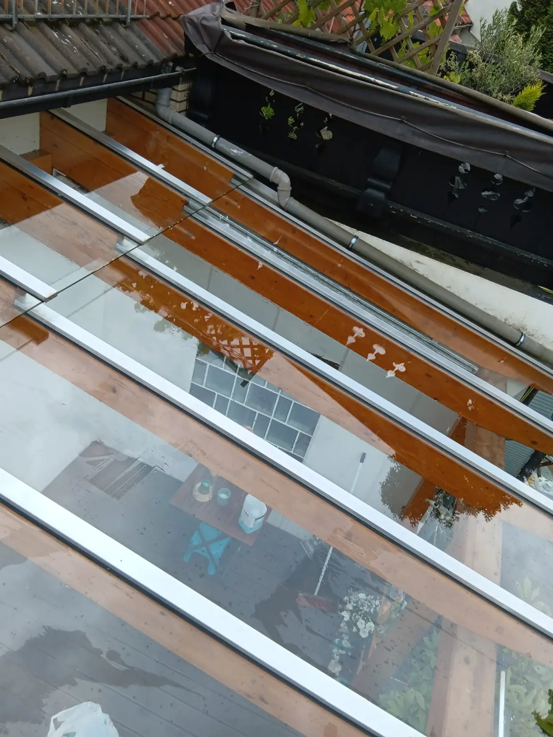 Glas- und Fensterreinigung durch Sb Gebauderainige