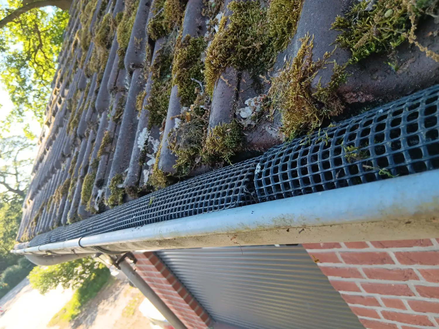 Reinigung von Sb Gebauderainige