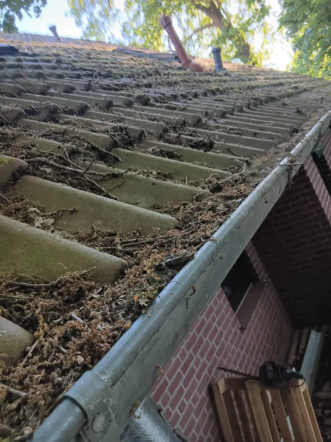 Reinigung von Sb Gebauderainige