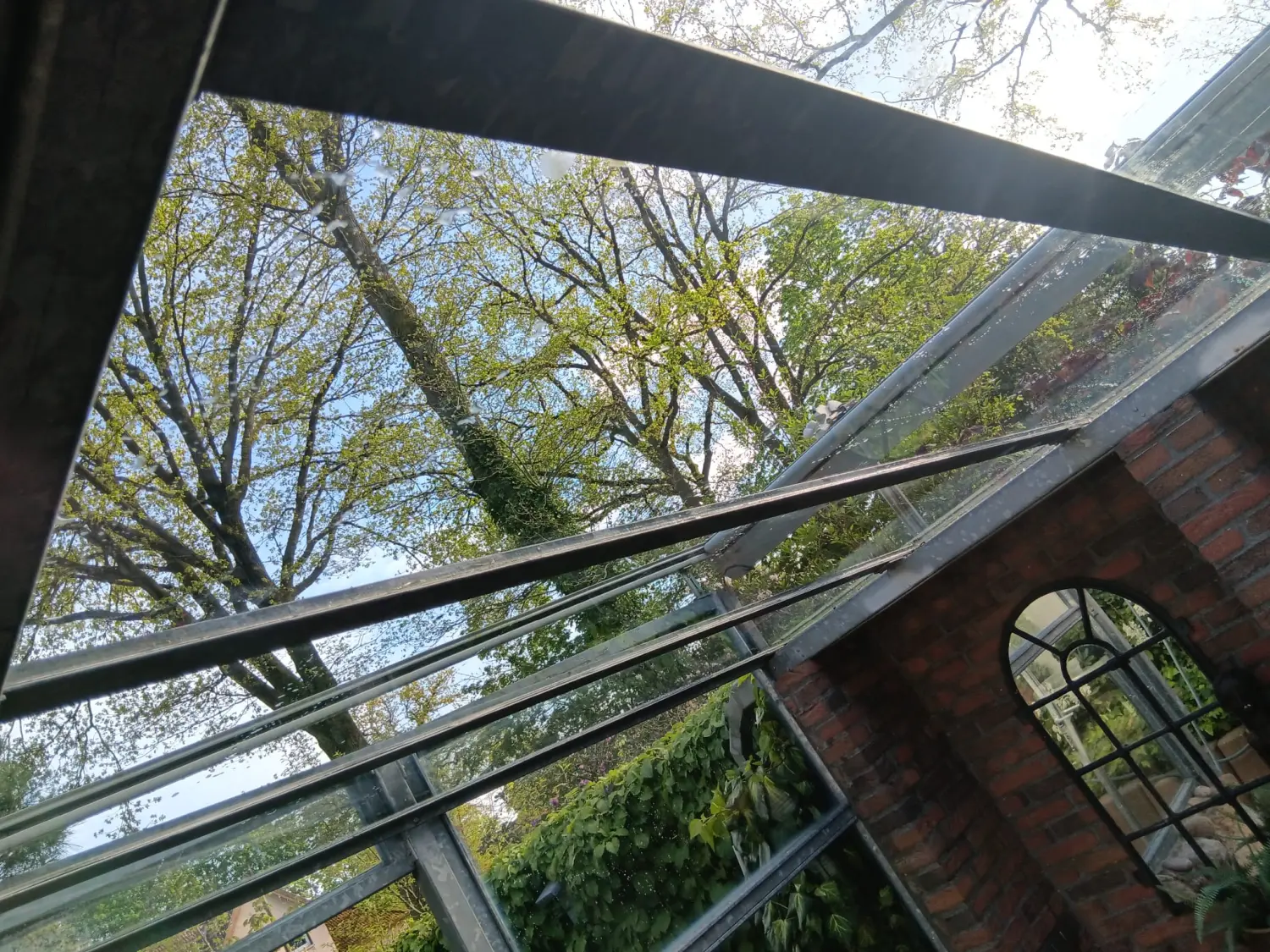 Glas- und Fensterreinigung durch Sb Gebauderainige