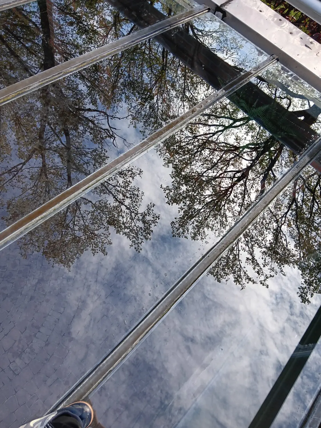 Glas- und Fensterreinigung durch Sb Gebauderainige