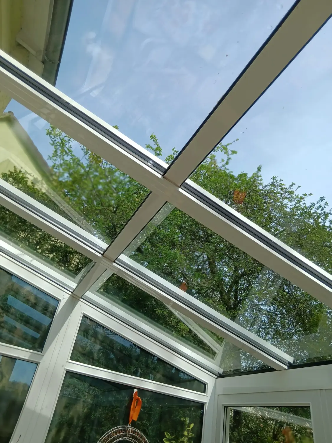 Gebäudespiegelreinigung durch Sb Gebauderainige